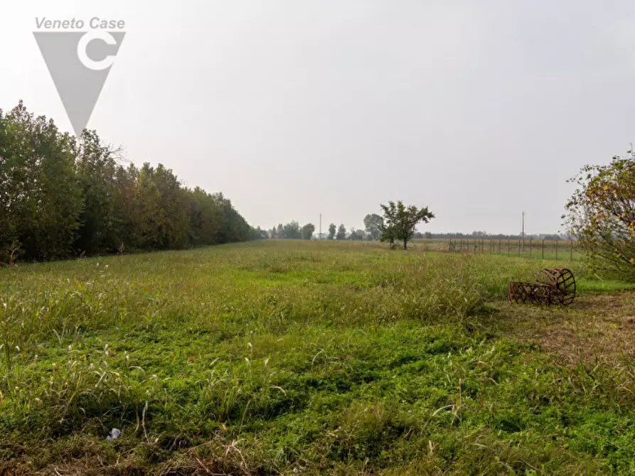 Immagine 1 di Terreno in vendita  a Casalserugo