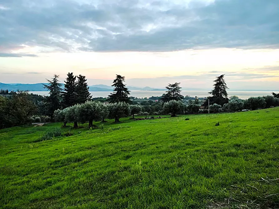 Immagine 1 di Terreno in vendita  a Passignano Sul Trasimeno