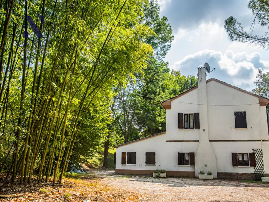 Immagine 3 di Rustico / casale in vendita  a Mondavio