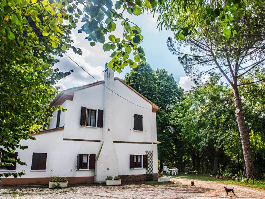Immagine 4 di Rustico / casale in vendita  a Mondavio