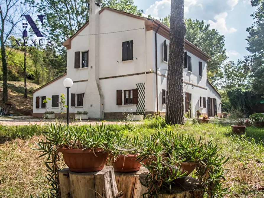 Immagine 6 di Rustico / casale in vendita  a Mondavio