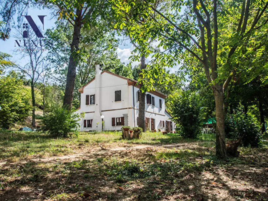 Immagine 7 di Rustico / casale in vendita  a Mondavio