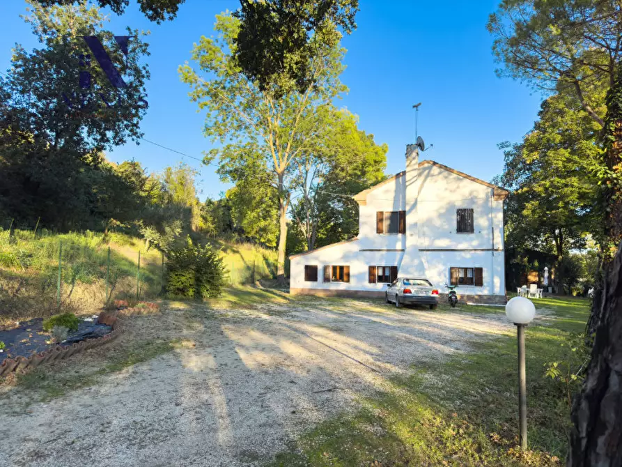 Immagine 8 di Rustico / casale in vendita  a Mondavio