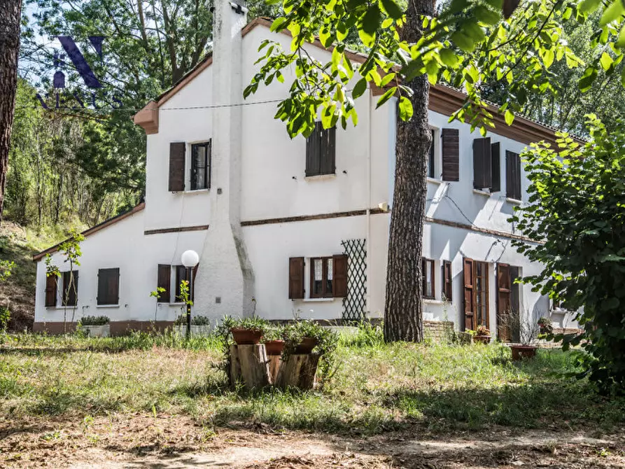 Immagine 9 di Rustico / casale in vendita  a Mondavio