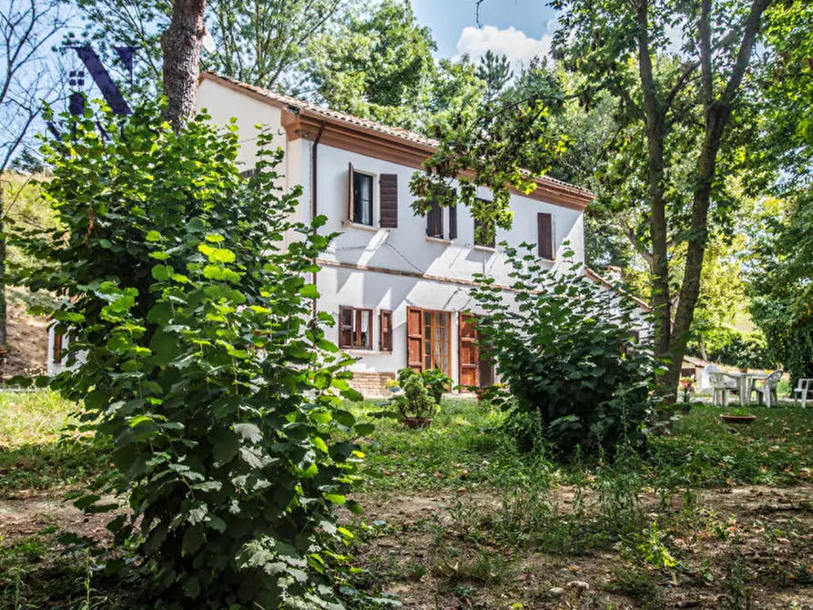 Immagine 10 di Rustico / casale in vendita  a Mondavio