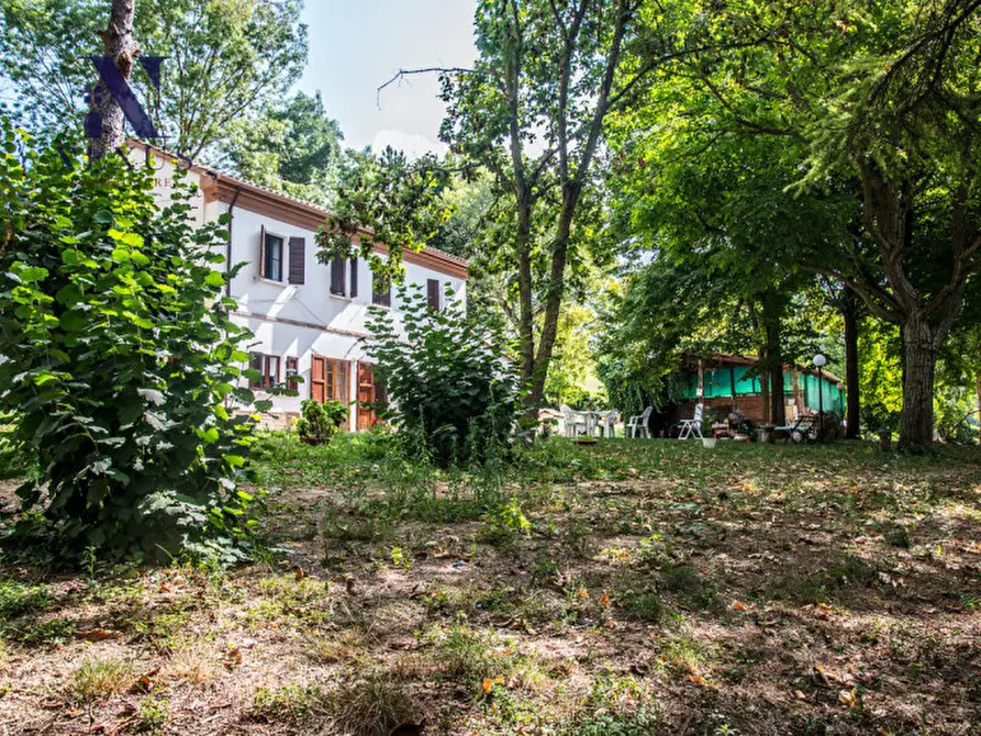 Immagine 11 di Rustico / casale in vendita  a Mondavio