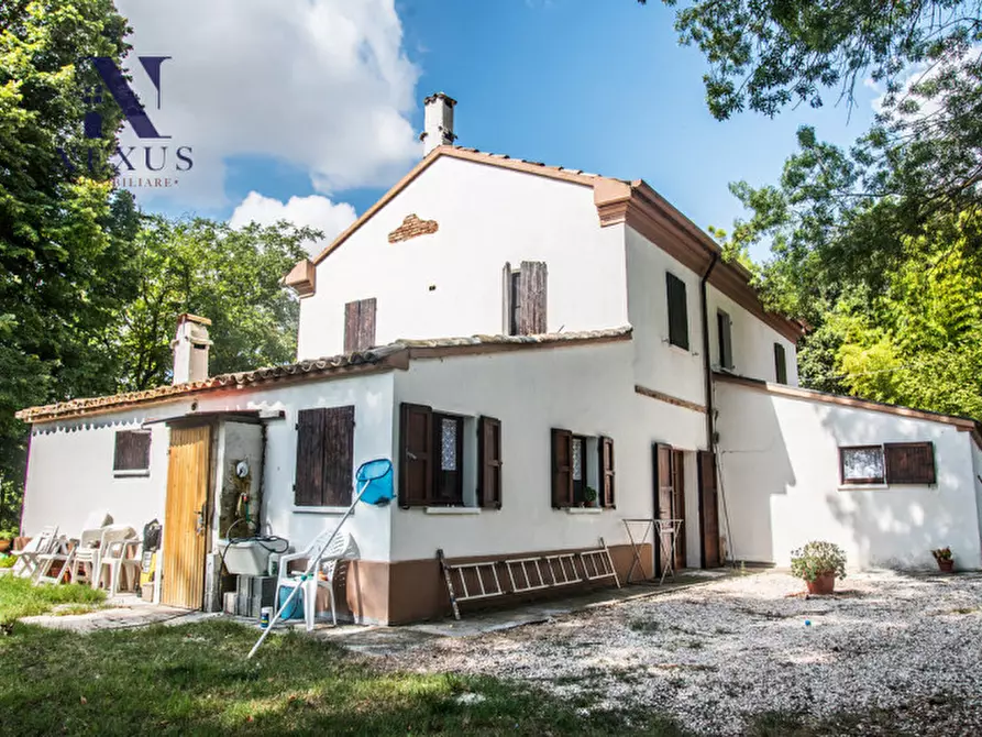 Immagine 12 di Rustico / casale in vendita  a Mondavio