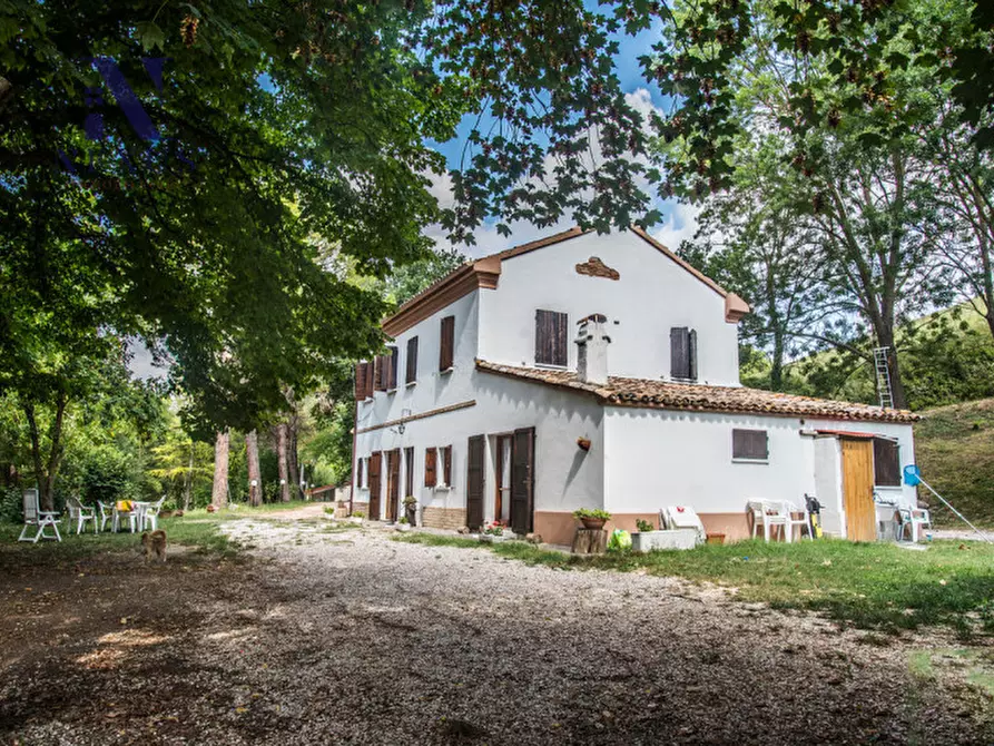 Immagine 13 di Rustico / casale in vendita  a Mondavio