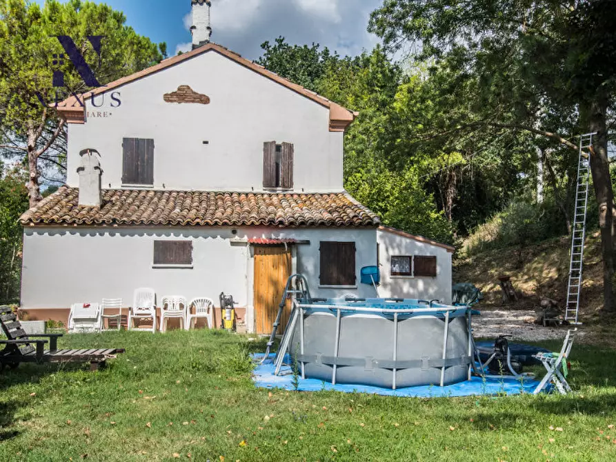 Immagine 14 di Rustico / casale in vendita  a Mondavio