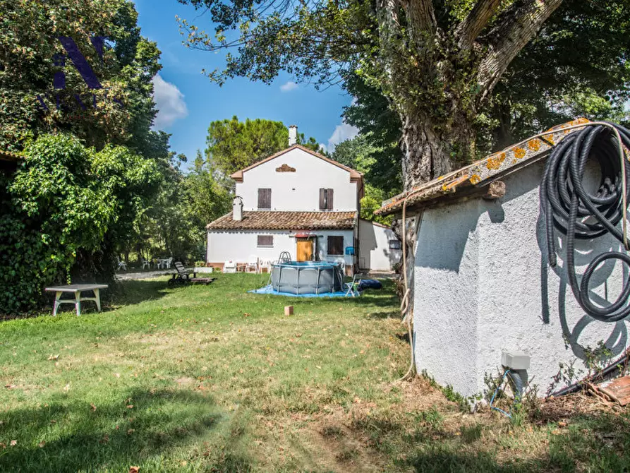 Immagine 15 di Rustico / casale in vendita  a Mondavio