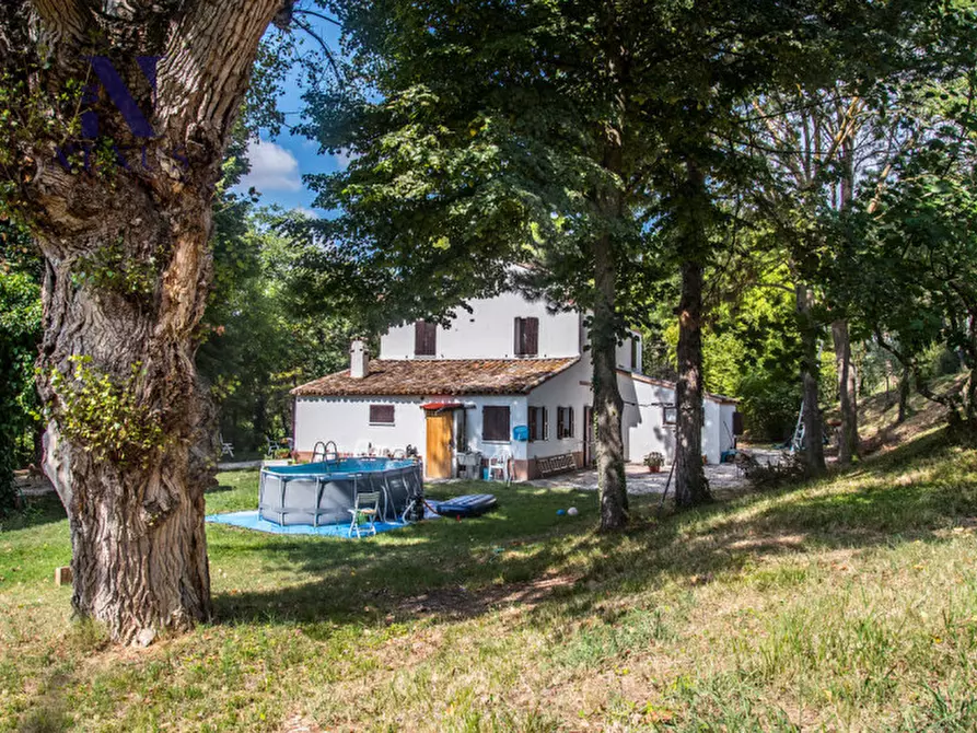 Immagine 17 di Rustico / casale in vendita  a Mondavio