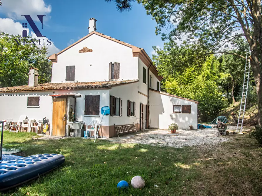 Immagine 19 di Rustico / casale in vendita  a Mondavio