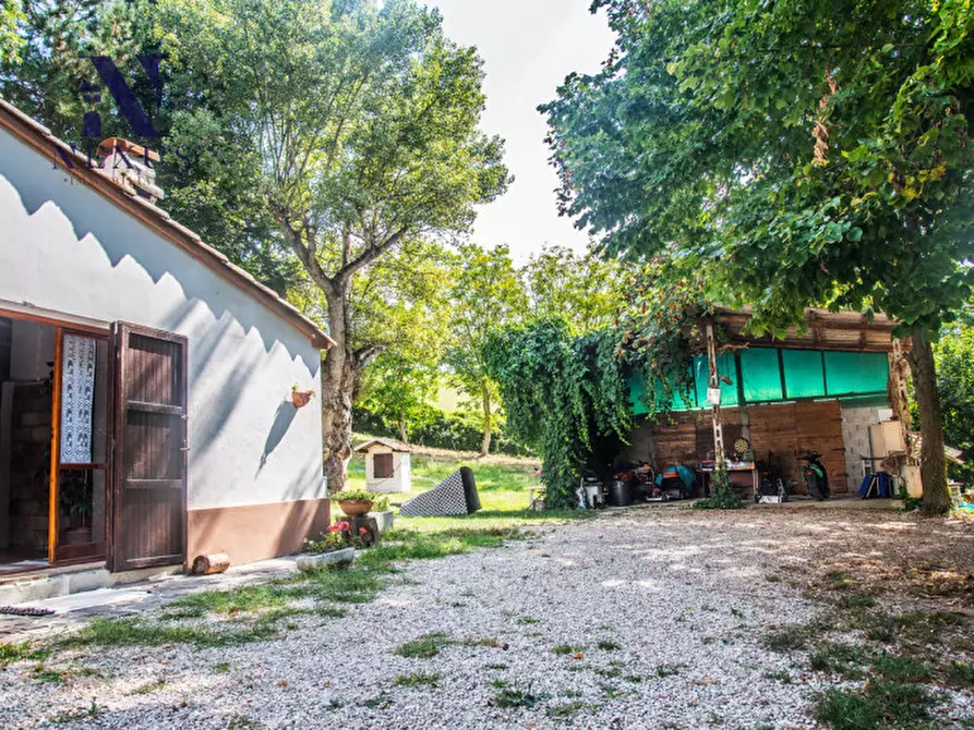 Immagine 20 di Rustico / casale in vendita  a Mondavio