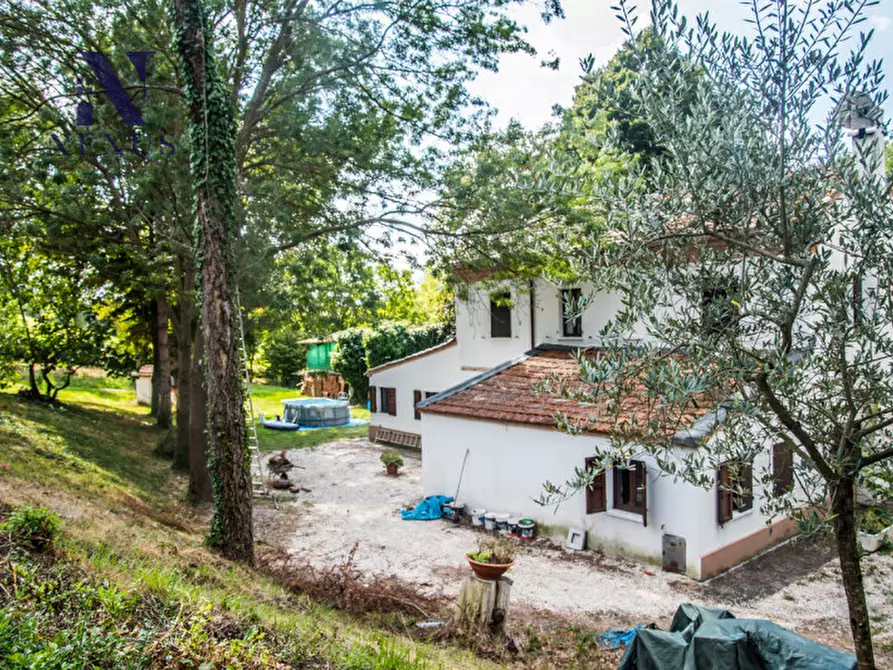 Immagine 21 di Rustico / casale in vendita  a Mondavio