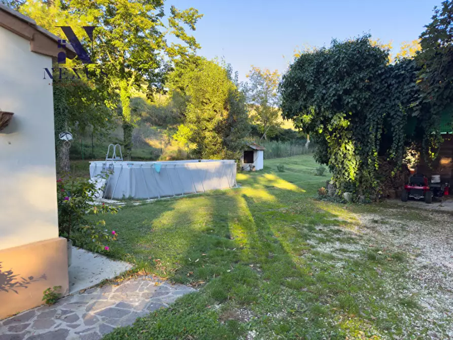 Immagine 22 di Rustico / casale in vendita  a Mondavio