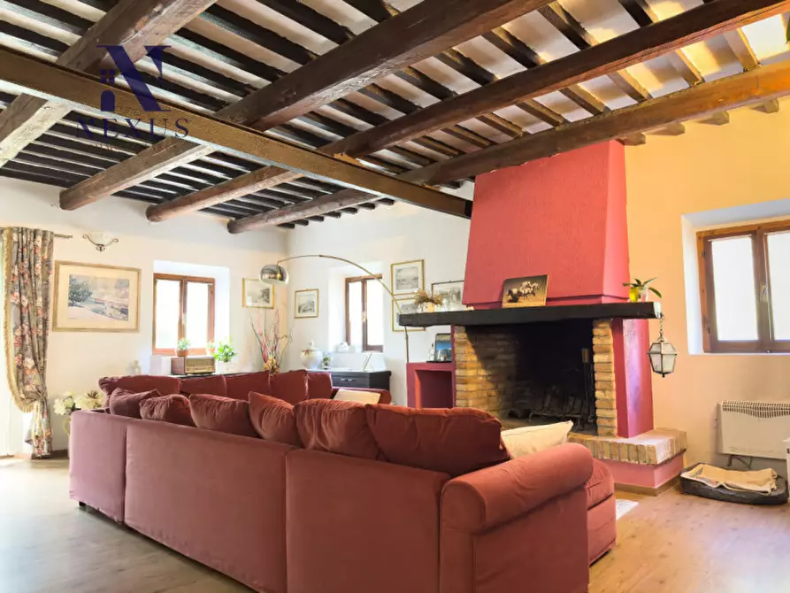 Immagine 23 di Rustico / casale in vendita  a Mondavio