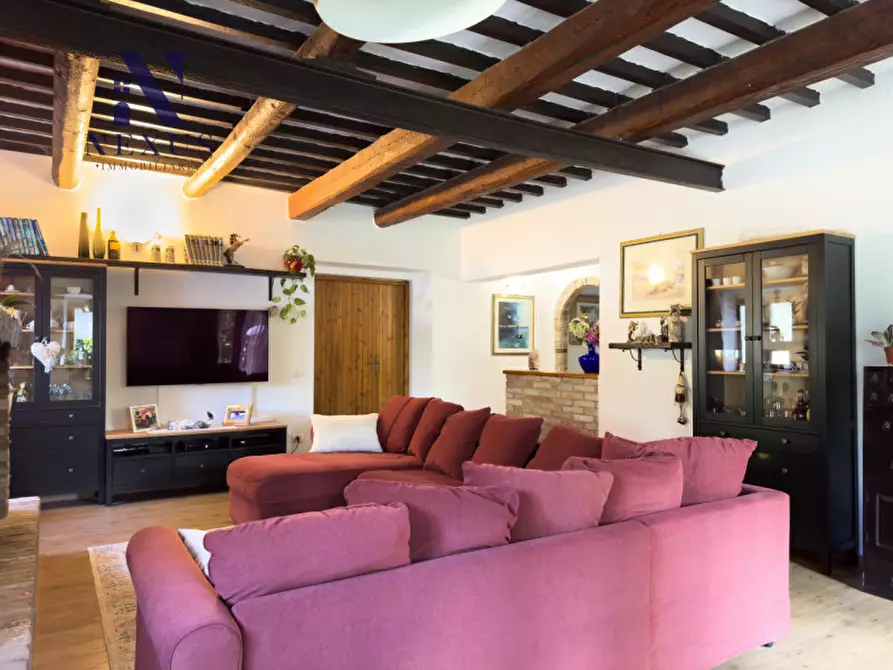 Immagine 24 di Rustico / casale in vendita  a Mondavio