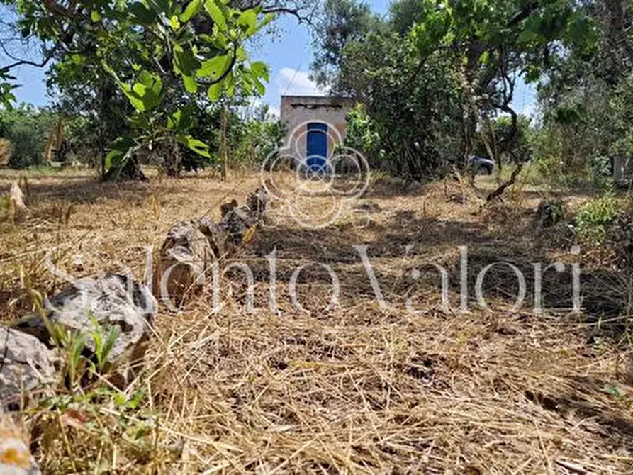 Immagine 2 di Terreno in vendita  in Contrada Tuli-Jala a Parabita