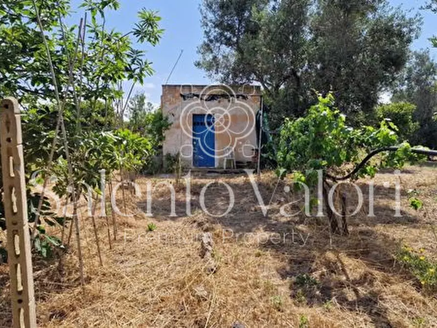 Immagine 3 di Terreno in vendita  in Contrada Tuli-Jala a Parabita