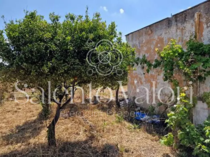 Immagine 5 di Terreno in vendita  in Contrada Tuli-Jala a Parabita