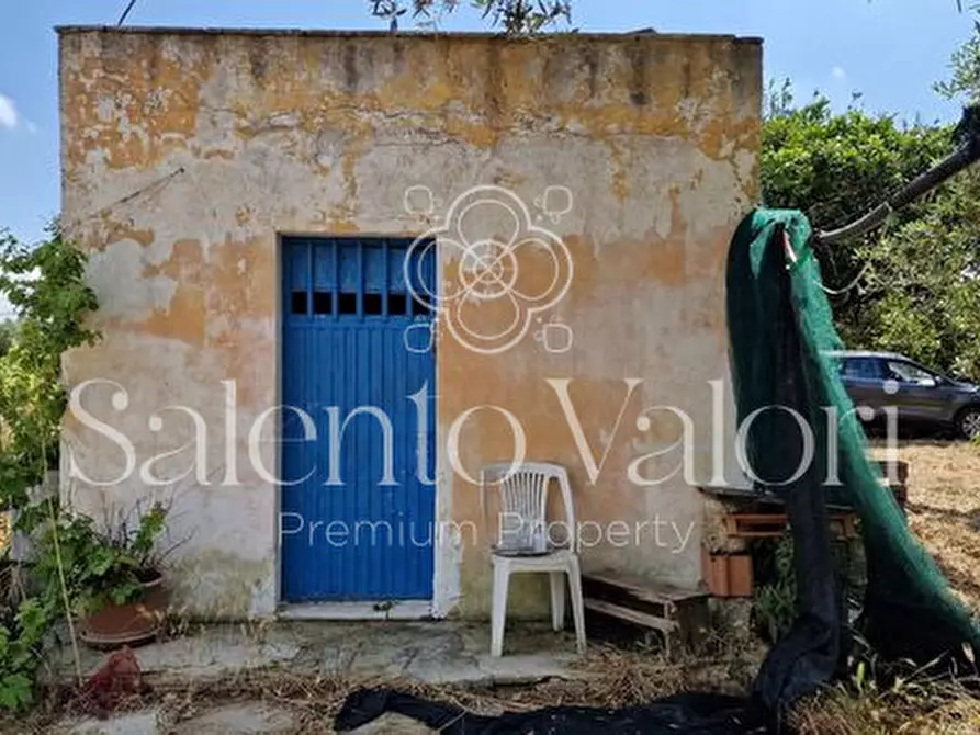 Immagine 6 di Terreno in vendita  in Contrada Tuli-Jala a Parabita