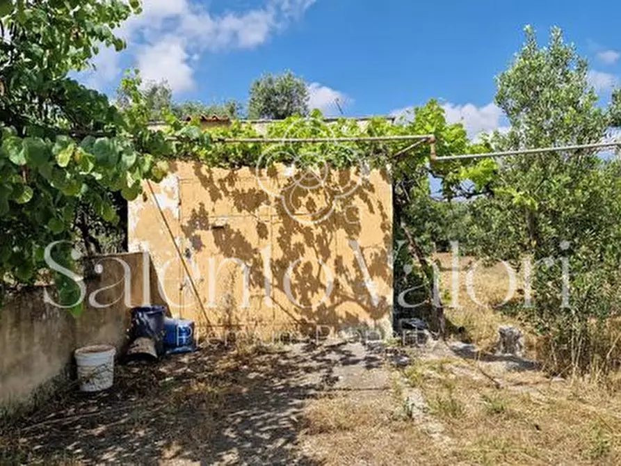 Immagine 7 di Terreno in vendita  in Contrada Tuli-Jala a Parabita