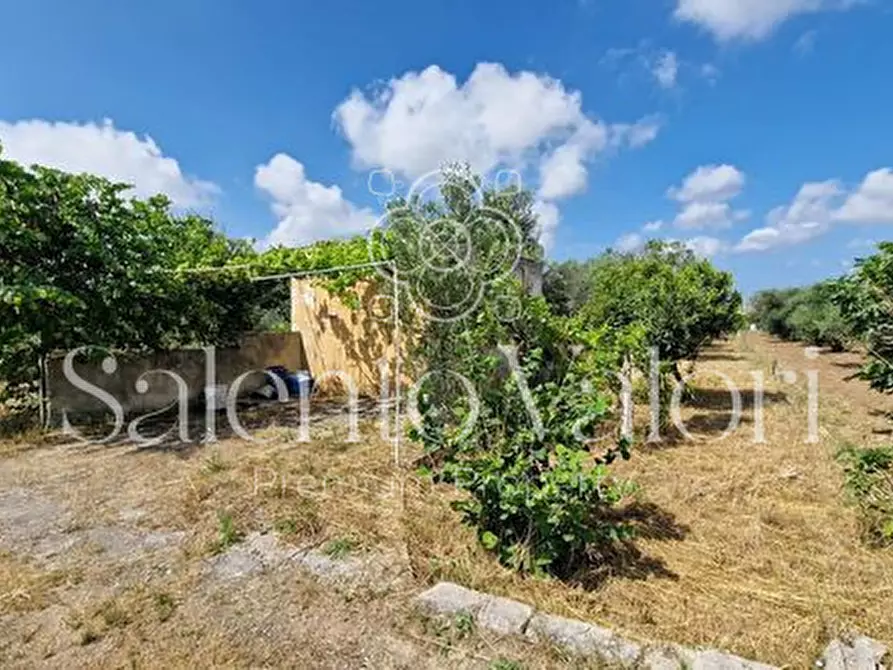Immagine 8 di Terreno in vendita  in Contrada Tuli-Jala a Parabita