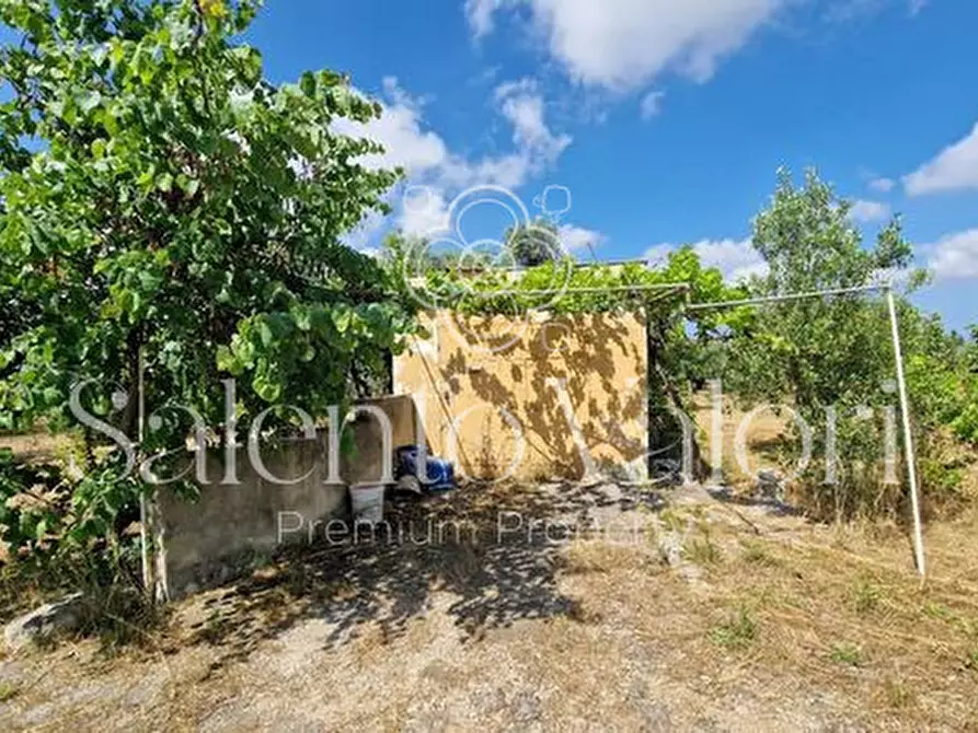 Immagine 9 di Terreno in vendita  in Contrada Tuli-Jala a Parabita