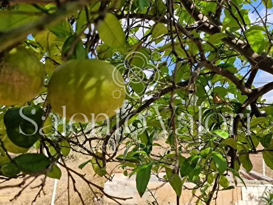 Immagine 10 di Terreno in vendita  in Contrada Tuli-Jala a Parabita