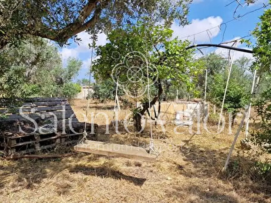 Immagine 12 di Terreno in vendita  in Contrada Tuli-Jala a Parabita