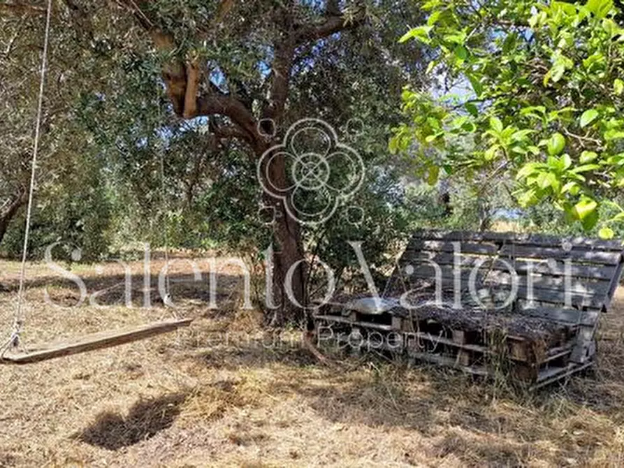 Immagine 13 di Terreno in vendita  in Contrada Tuli-Jala a Parabita