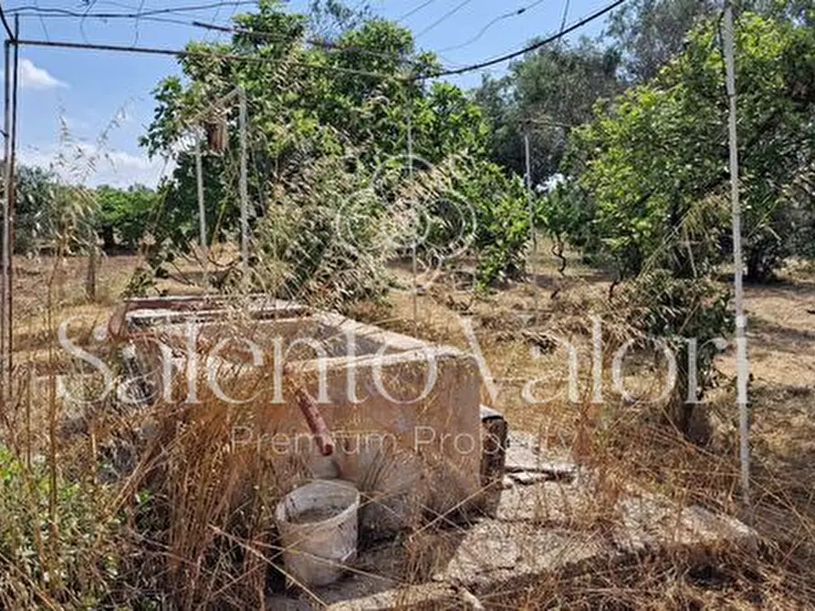 Immagine 14 di Terreno in vendita  in Contrada Tuli-Jala a Parabita