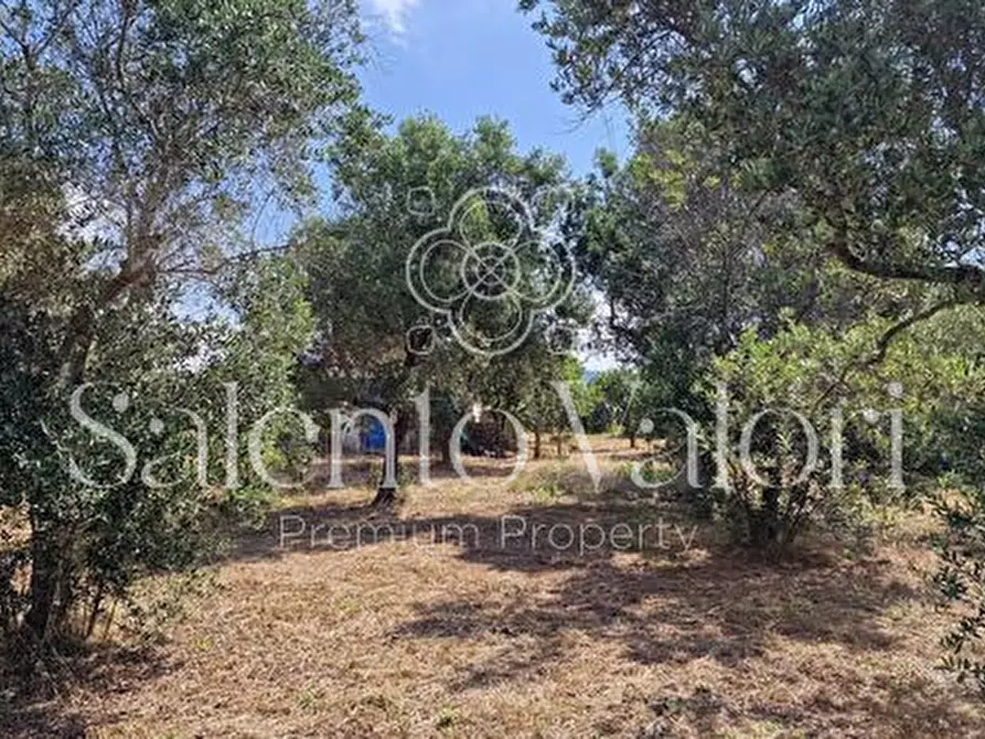 Immagine 16 di Terreno in vendita  in Contrada Tuli-Jala a Parabita