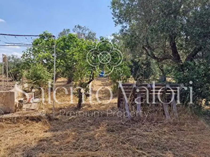Immagine 17 di Terreno in vendita  in Contrada Tuli-Jala a Parabita