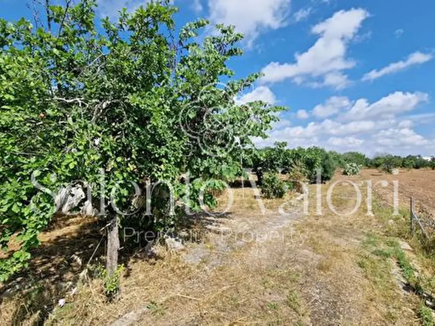 Immagine 18 di Terreno in vendita  in Contrada Tuli-Jala a Parabita