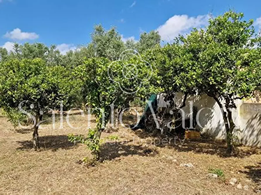 Immagine 19 di Terreno in vendita  in Contrada Tuli-Jala a Parabita