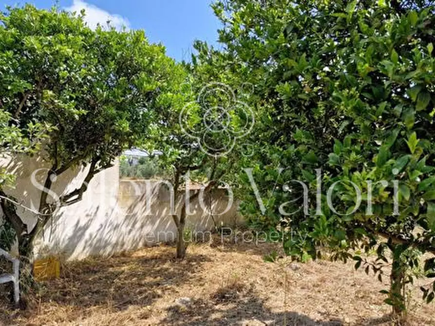 Immagine 21 di Terreno in vendita  in Contrada Tuli-Jala a Parabita