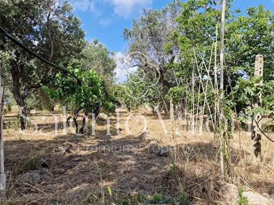 Immagine 23 di Terreno in vendita  in Contrada Tuli-Jala a Parabita
