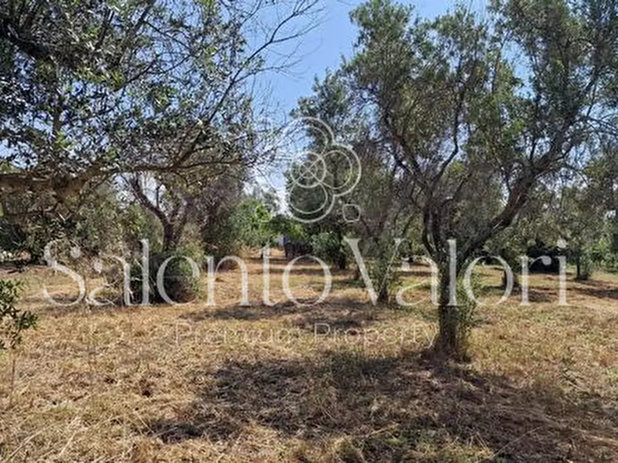 Immagine 24 di Terreno in vendita  in Contrada Tuli-Jala a Parabita