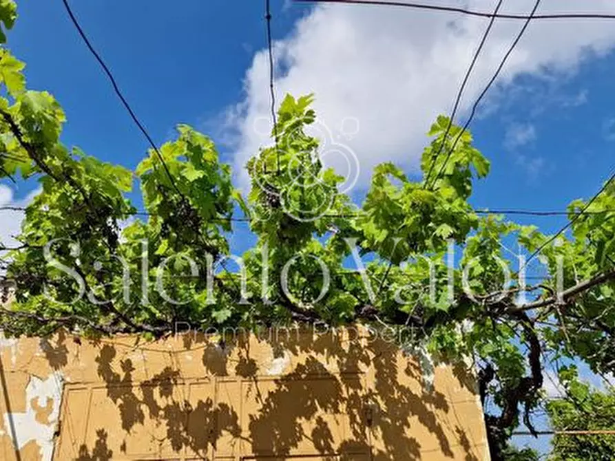 Immagine 27 di Terreno in vendita  in Contrada Tuli-Jala a Parabita