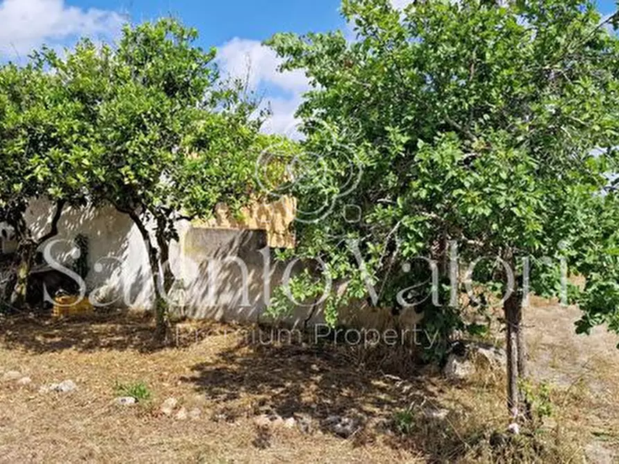 Immagine 28 di Terreno in vendita  in Contrada Tuli-Jala a Parabita