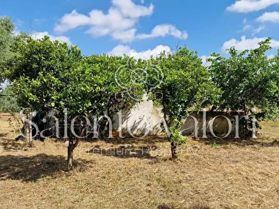 Immagine 29 di Terreno in vendita  in Contrada Tuli-Jala a Parabita