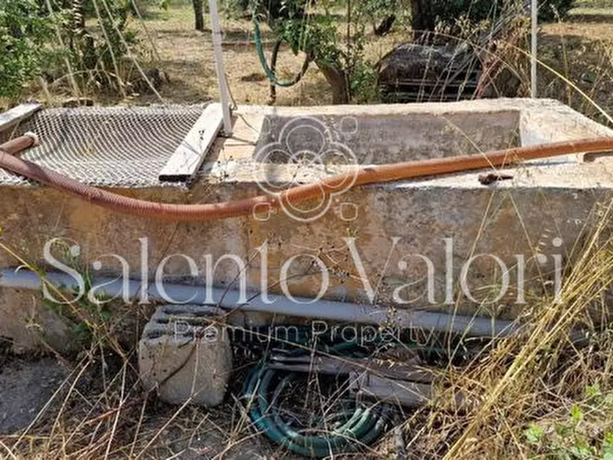 Immagine 31 di Terreno in vendita  in Contrada Tuli-Jala a Parabita