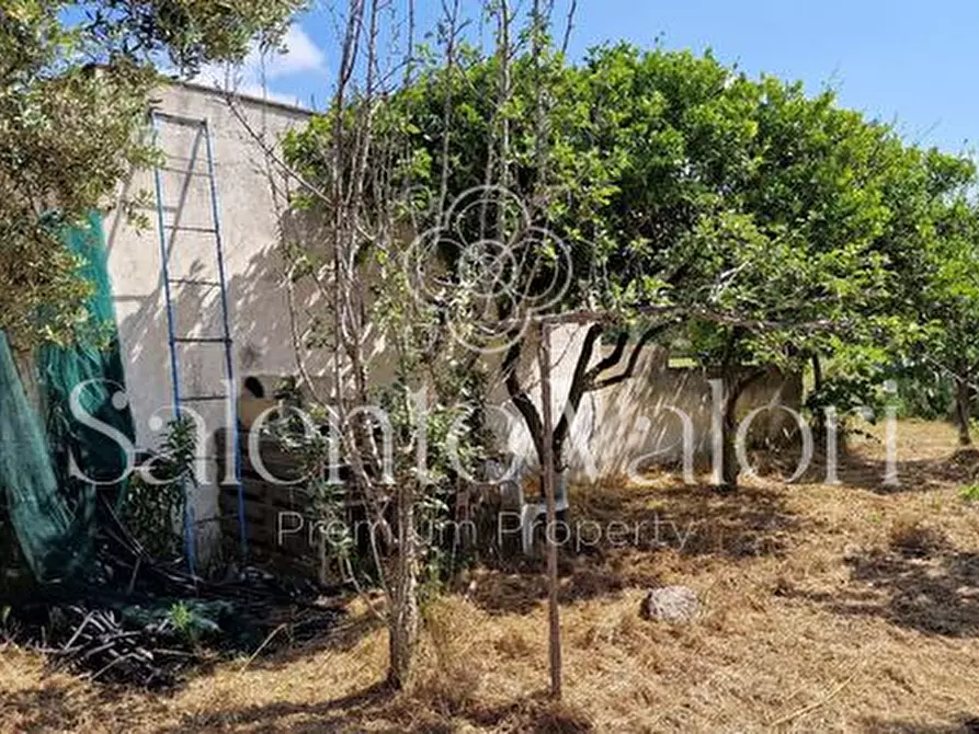 Immagine 33 di Terreno in vendita  in Contrada Tuli-Jala a Parabita