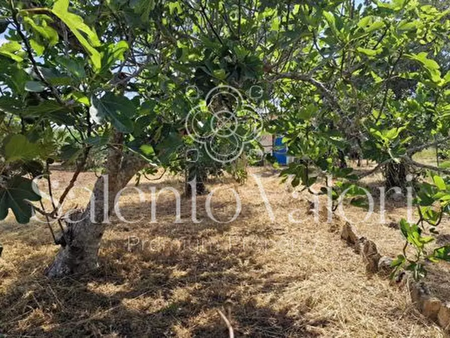 Immagine 34 di Terreno in vendita  in Contrada Tuli-Jala a Parabita
