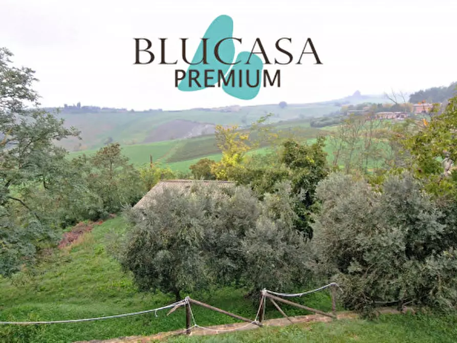 Immagine 12 di Casa indipendente in vendita  in colline castrocaro a Castrocaro Terme E Terra Del Sole