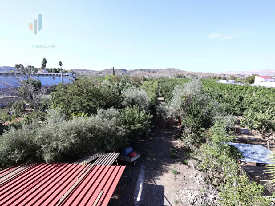 Immagine 27 di Casa indipendente in vendita  in Via Palermo sn a Palagonia