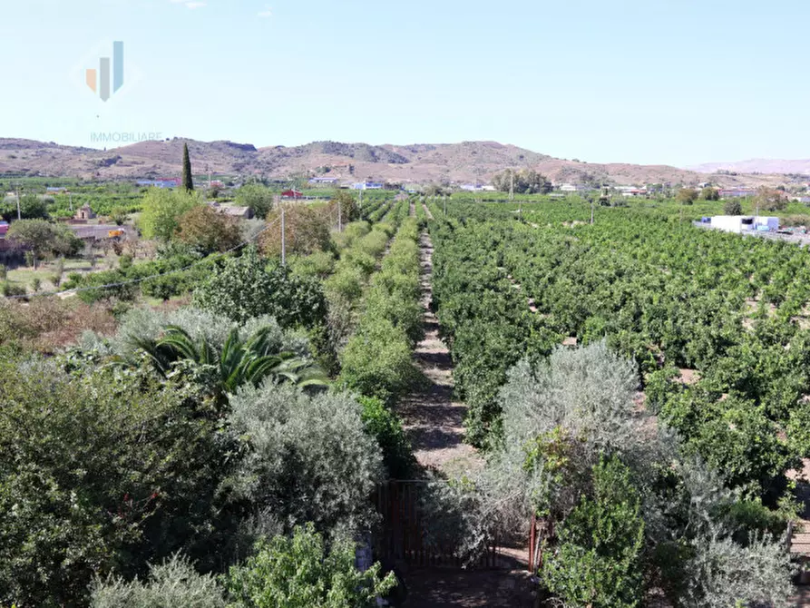 Immagine 28 di Casa indipendente in vendita  in Via Palermo sn a Palagonia