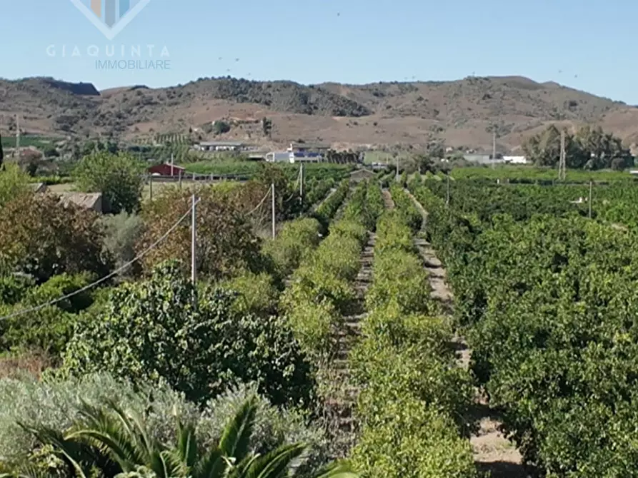 Immagine 29 di Casa indipendente in vendita  in Via Palermo sn a Palagonia