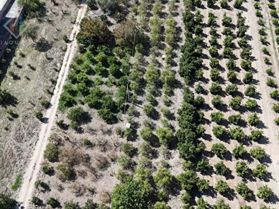 Immagine 30 di Casa indipendente in vendita  in Via Palermo sn a Palagonia